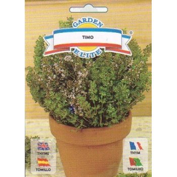 Чебрець Тімо /0,5 г/ *Galassi sementi*