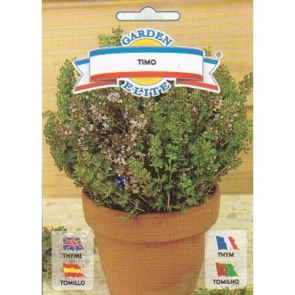 Насіння чебрецю Тімо /0,5 г/ *Galassi sementi*