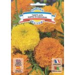 Бархатцы махровые смесь /1 г/ *Garden Elite*