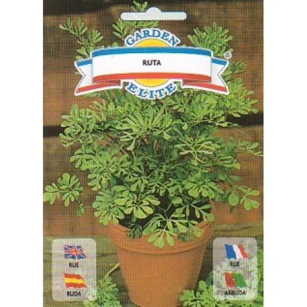 Насіння рути садової /0,8 г/ *Galassi sementi*