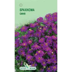 Брахикома синяя /0,05 г/ *ЭлитСорт*