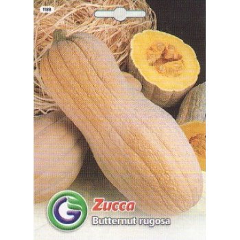 Гарбуз Баттернат ругоза /3,5 г/ *Galassi sementi*