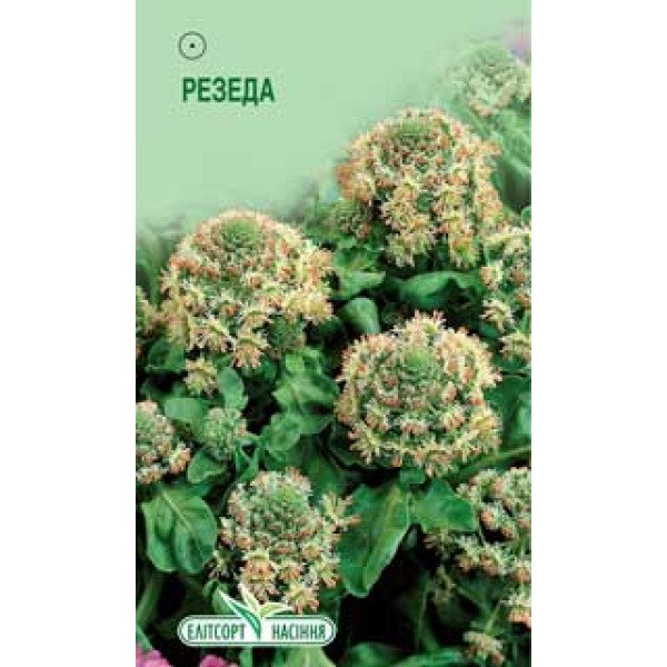 Семена Резеды душистой /0,5 г/ *ЭлитСорт*