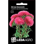 Астра Аполлония красная /5 г/ *Hem Genetics*