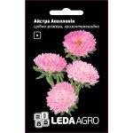 Астра Аполлония серебряно-розовая /5 г/ *Hem Genetics*