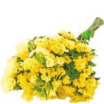 Кермек Золотой Берег /5 г/ *Hem Zaden*