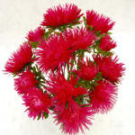 Астра Валькирия скарлет (scarlet) /2 г/ *Satimex*