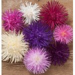 Айстра Валькірія суміш (mix) /2 г/ *Satimex*