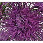 Айстра Валькірія фіолетова (purple) /2 г/ *Satimex*