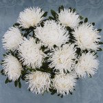 Айстра Дрегон біла /1 грам/ *Satimex*