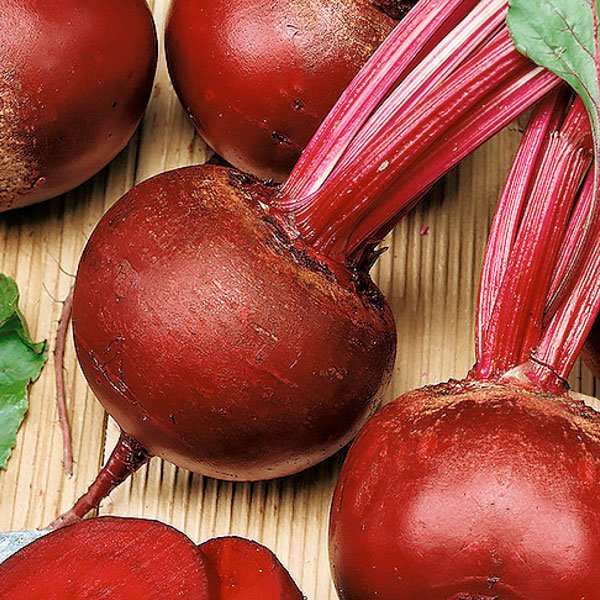 Семена свеклы Кадет /500 г/ *Satimex*