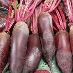 Свекла Цилиндра /500 г/ *GSN Semences*