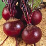 Свекла Детройт /0,5 кг/ *Rem seeds*