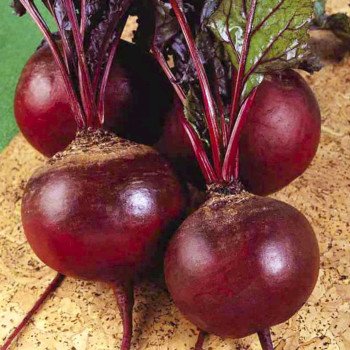 Буряк Детройт /0,5 кг/ *Rem seeds*