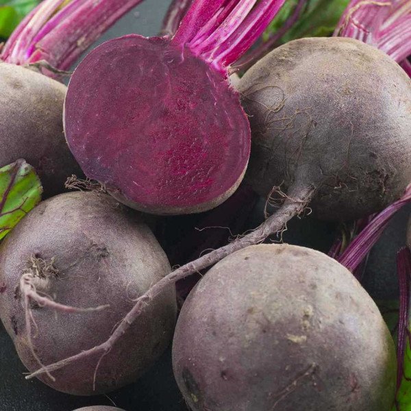 Насіння буряка Детройт /500 г/ *GSN Semences*