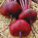 Буряк Єгипетський плоский /500 г/ *GSN Semences*