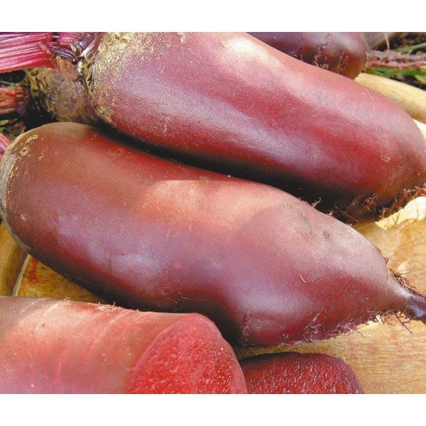 Семена свеклы Атаман /0,5 кг/ *Satimex*