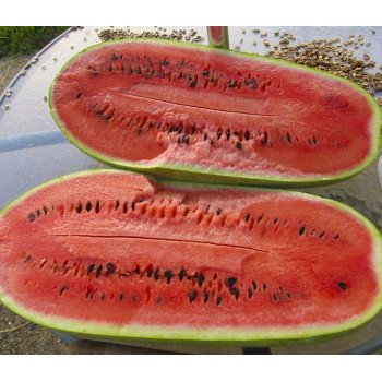 Кавун Чарльстон грей /500 г/ *GSN Semences*