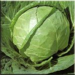 Капуста белокочанная Каменная голова /500 г/ *Satimex*