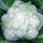 Капуста цвітна Снігова куля /100 г/ *Rem seeds*