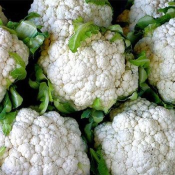 Капуста цвітна Снігова куля /0,5 кг/ *Rem seeds*