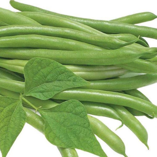 Насіння квасолі Ольга /1 кг/ *Satimex*