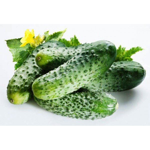 Семена огурца Бодина F1 /1.000 шт/ *Satimex*