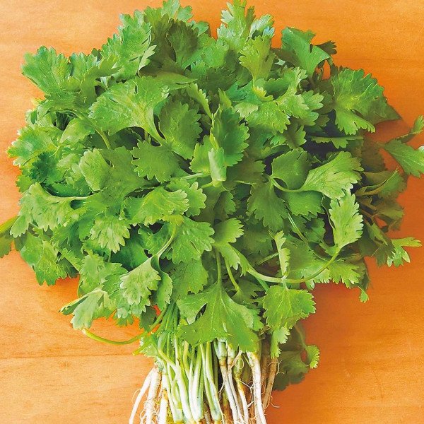 Семена кориандра Слоуболт /200 г/ *Hem Zaden*