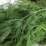 Кріп Тетра /1 кг/ *Satimex*