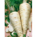 Петрушка корневая Берлинская /0,5 кг/ *Satimex*