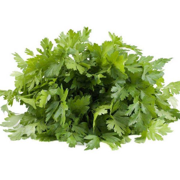 Насіння петрушки листової Італійський гігант /1,5 кг/ *Satimex*