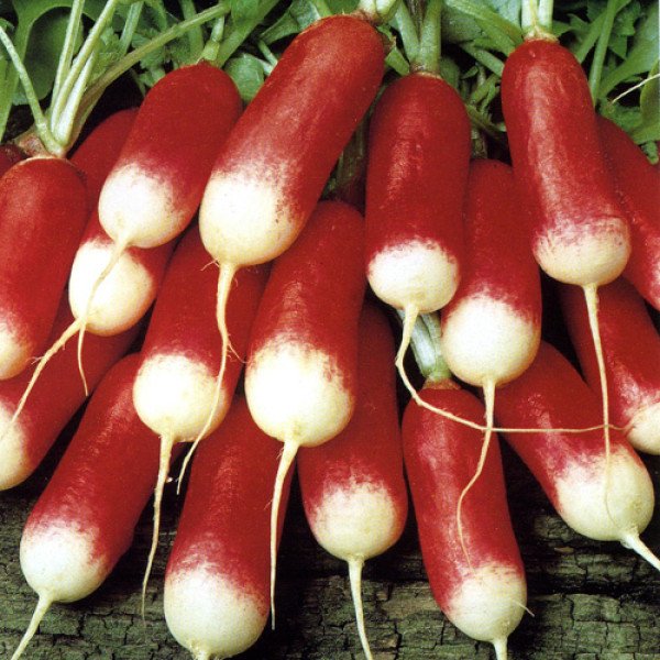 Семена редиса 18 Дней /0,5 кг/ *Rem seeds*