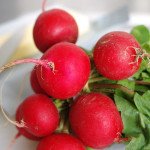 Редис Эспрессо F1 /0,25 кг/ *Satimex*