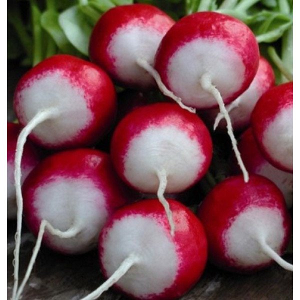 Семена редиса Националь /0,5 кг/ *GSN Semences*