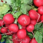 Редис Суперстар /0,25 кг/ *Satimex*