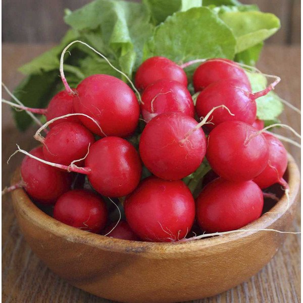 Семена редиса Черри Белл /0,5 кг/ *GSN Semences*