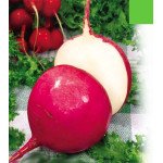 Редька Красная зимняя /0,5 кг/ *Satimex*