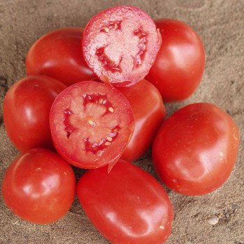 Томат Ріо Гранде /0,5 кг/ *Rem seeds*