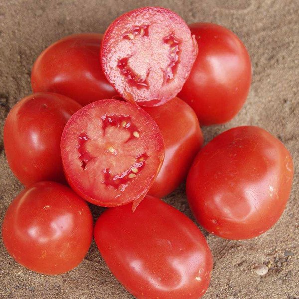 Семена томата Рио Гранде /0,5 кг/ *Rem seeds*