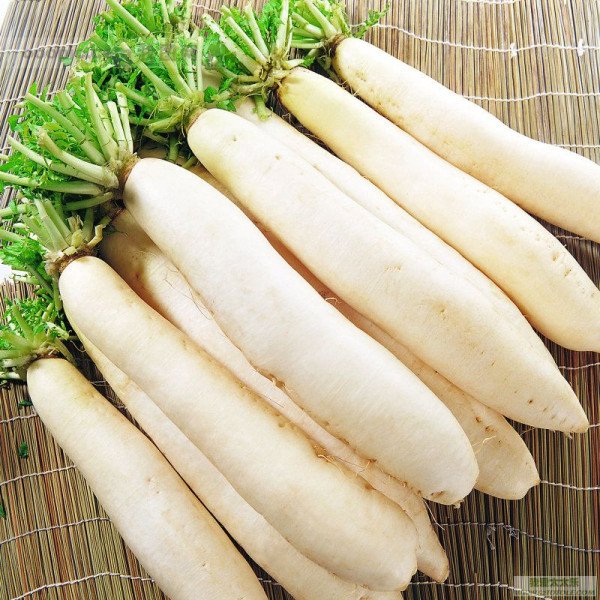 Семена редиса Вайт брекфаст /5 кг/ *Satimex*