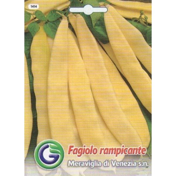 Насіння квасолі меравілья ді венеція /20 г/ *Galassi sementi*