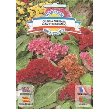 Целозия высокая Петушиный гребень смесь /0,8 г/ *Garden Elite*
