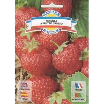 Земляника Фрагола /0,18 г/ *Galassi sementi*