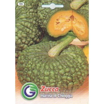 Гарбуз Марина ді кіоджа /3,5 г/ *Galassi sementi*