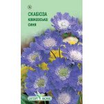 Скабиоза кавказская синяя /10 семян/ *ЭлитСорт*