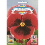 Віола Гігантська рожева /0,25 г/ *Garden Elite*