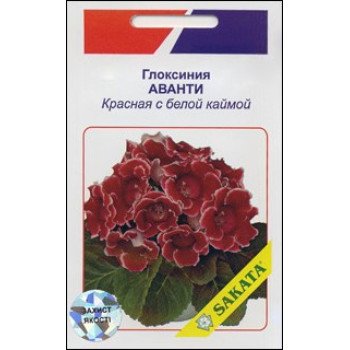 Глоксинія Аванті червона з білою облямівкою /10 насінин/ *АгроПак*