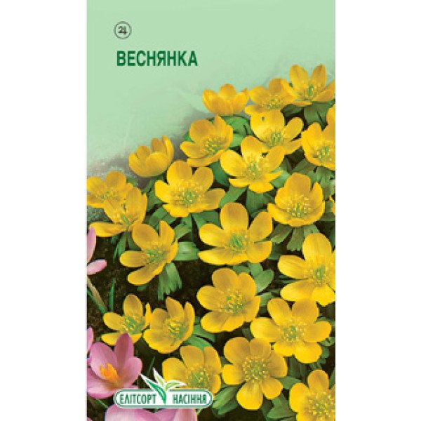 Семена весенника жёлтого /0,04 г/ *ЭлитСорт*
