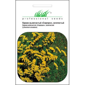 Кермек Золотистий Берег /0,3 г/ *Професійне насіння*