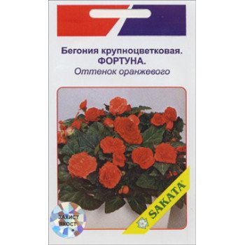 Бегонія великоквіткова Фортуна відтінок помаранчевого /10 насінин/ *АгроПак*
